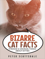 Bizarre Cat Facts