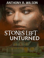 Stones Left Unturned: The Silhouette in the Dark City