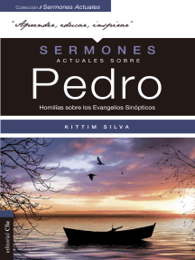 Sermones actuales sobre Pedro: Homilías sobre los Evangelios Sinópticos