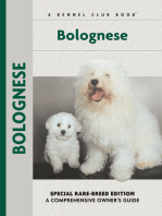 Bolognese