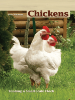 Chickens, 2nd Edition: Tending a Small-Scale Flock