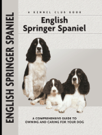 English Springer Spaniel: A Comprehensive Guide to Owning and Caring for Your Dog