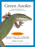 Green Anoles