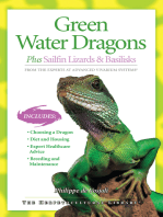 Green Water Dragons: Plus Sailfin Lizards & Basilisks