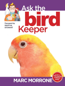 Read Marc Morrone S Ask The Bird Keeper Online By Marc Morrone And Amy Fernandez Books