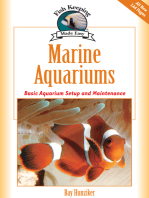 Marine Aquariums: Basic Aquarium Setup And Maintenance