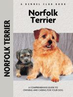 Norfolk Terrier