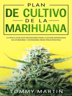 Plan De Cultivo De La Marihuana