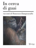 In cerca di guai