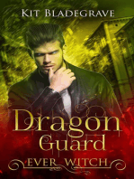 Dragon Guard: Ever Witch, #2