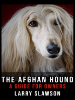 The Afghan Hound: A Guide for Owners