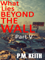 What Lies Beyond The Wall