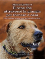 Il cane che attraversò la giungla per tornare a casa