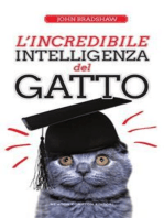 L'incredibile intelligenza del gatto