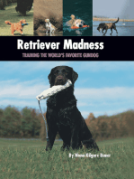 Retriever Madness: Training the World's Favorite Gundog