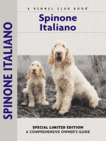 Spinoni Italiano