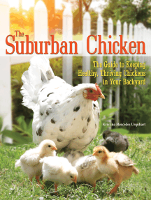 Read The Suburban Chicken Online By Kristina Mercedes Urquhart Books