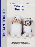 Tibetan Terrier