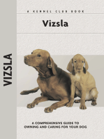 Vizsla