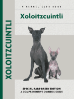 Xoloitzcuintli