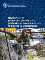 Rapport sur la protection sociale et les pêcheries artisanales dans la région de la Méditerranée: Une revue