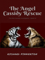 The Angel Cassidy Rescue