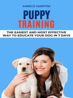 Puppy Training