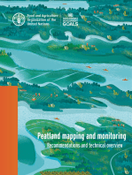 Peatland Mapping and Monitoring: Recommendations and Technical Overview