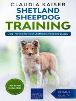 Shetland Sheepdog Training - Dog Training for your Shetland Sheepdog puppy: Shetland Sheepdog Training, #1