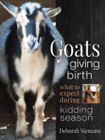 Goats Giving Birth: What to Expect during Kidding Season