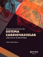 Manual de prácticas del sistema cardiovascular: Laboratorio de morfología