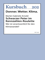 Schwarzer Peter im Kennzahlen-Roulette: Wer ist verantwortlich für den Klimawandel?