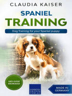 Spaniel Training - Dog Training for your Spaniel puppy: Spaniel Training, #1