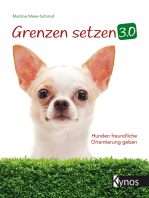 Grenzen setzen 3.0: Hunden freundliche Orientierung geben