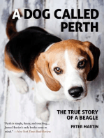 A Dog Called Perth