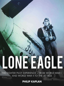 Lone Eagle: The Fighter Pilot Experience - From World War I and World War II to the Jet Age