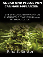 Anbau und Pflege von Cannabis-Pflanzen