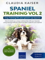 Spaniel Training Vol 2 – Dog Training for your grown-up Spaniel: Spaniel Training, #2