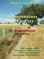 Il cammino di Le Puy, le magnifique chemin: Quattrocentoventi chilometri a piedi nel cuore della Francia, attraverso valli rigogliose e paesaggi mozzafiato