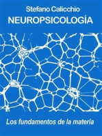 Neuropsicología: Los fundamentos de la materia 