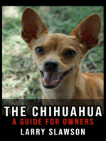 The Chihuahua: A Guide for Owners