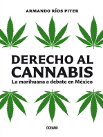 Derecho al cannabis: La marihuana a debate en México