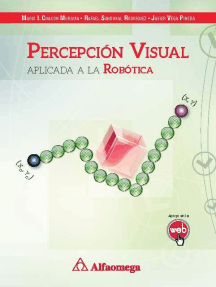 PERCEPCIÓN VISUAL - Aplicada a la robótica