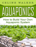 Aquaponics: How to Build Your Own Aquaponic System