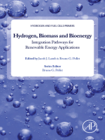 Hydrogen, Biomass and Bioenergy: Integration Pathways for Renewable Energy Applications