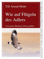 Wie auf Flügeln des Adlers: Von guten Mächten sicher geführt