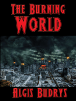 The Burning World