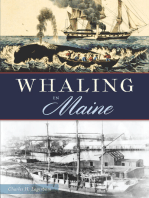 Whaling in Maine