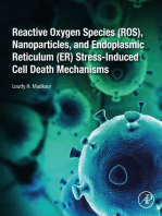 Reactive Oxygen Species (ROS), Nanoparticles, and Endoplasmic Reticulum (ER) Stress-Induced Cell Death Mechanisms
