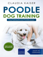 Poodle Training - Dog Training for your Poodle puppy
